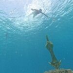 Chankanaab Park entrance ticket with snorkeling and buffet included - The Itinerary Breakdown: What to Expect