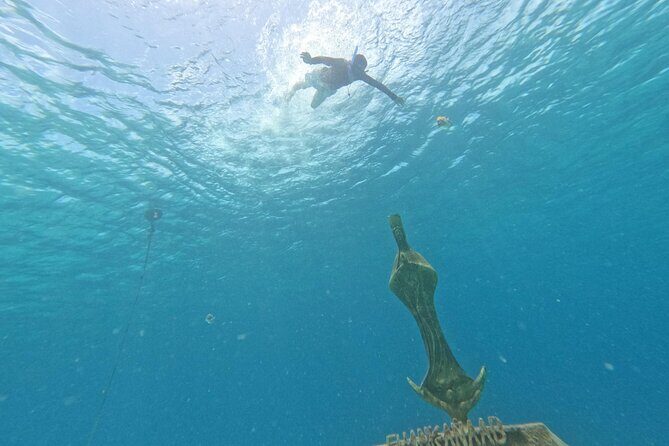 Chankanaab Park entrance ticket with snorkeling and buffet included - The Itinerary Breakdown: What to Expect