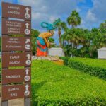 Chankanab Park Admission +Open bar +Lunch included +Snorkeling - Who Will Love This Tour?