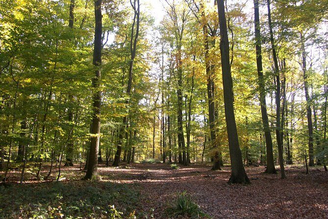 Chantilly by bike or Chantilly with electric bike - FAQ