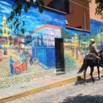 Chapala and Ajijic Private Full-Day Tour - Who Will Love This Tour?