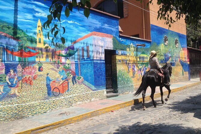 Chapala and Ajijic Private Full-Day Tour - Who Will Love This Tour?