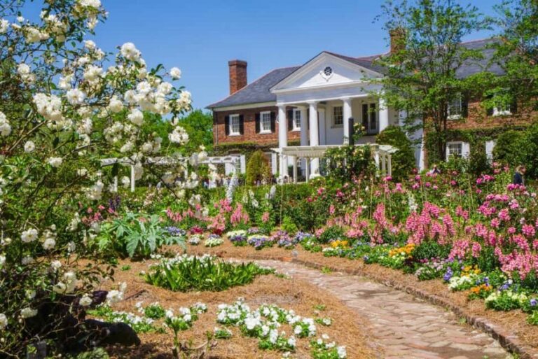 Charleston: Boone Hall Plantation Tour - Who Will Love This Tour