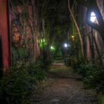 Charleston: Death and Depravity Ghost Walking Tour - Highlights of the Tour
