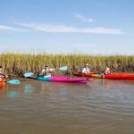 Charleston: Folly Beach Morning Kayak Dolphin Safari - Who Will Enjoy This Tour?