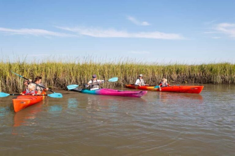 Charleston: Folly Beach Morning Kayak Dolphin Safari - Who Will Enjoy This Tour?