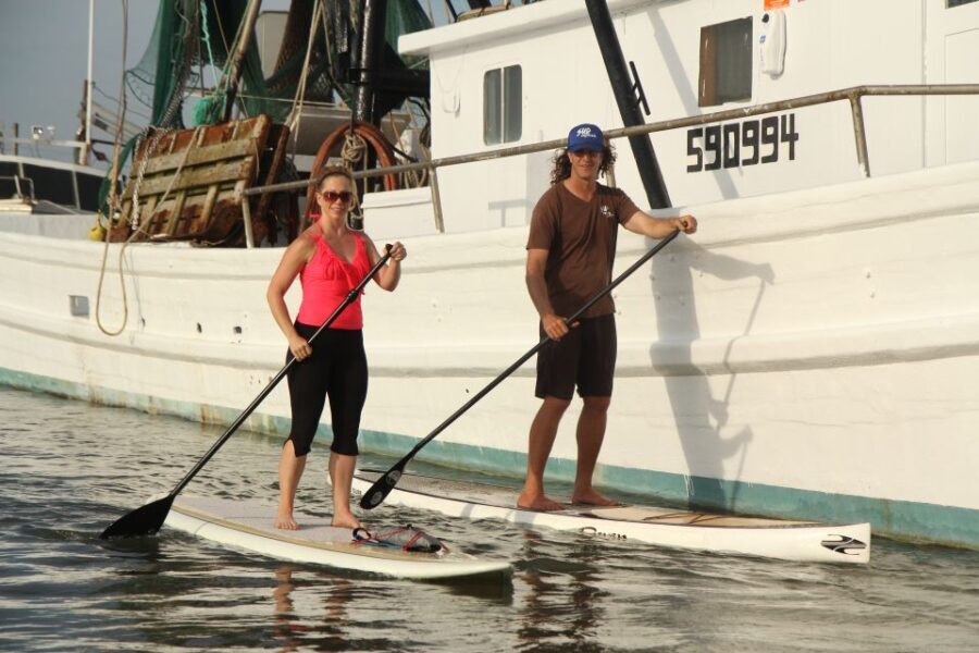 Charleston: Folly Beach Stand Up Paddleboard 2-hour Rental - Wildlife Encounters
