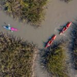 Charleston: Folly River Sunset Kayak Dolphin Safari - Final Thoughts: Why Choose the Folly River Sunset Kayak Safari?