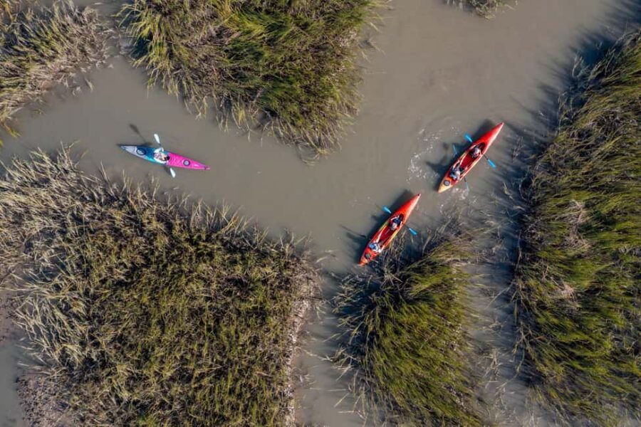Charleston: Folly River Sunset Kayak Dolphin Safari - Final Thoughts: Why Choose the Folly River Sunset Kayak Safari?