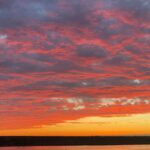 Charleston: Harbor Bar Pedal Boat Party Cruise - A Detailed Look at the Charleston Harbor Bar Pedal Boat Experience