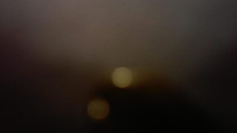 Charleston: Haunted Ghost Tour - A Spectral Adventure! - An In-Depth Look at the Charleston Haunted Ghost Tour