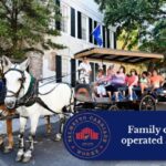Charleston: Haunted Horse-Drawn Carriage Evening Tour - Who Should Consider This Tour?