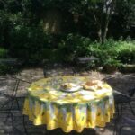 Charleston: Historic Walking Tour with a Local Guide - Iconic Sites and Their Stories