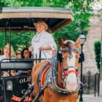 Charleston: Historical Downtown Tour by Horse-drawn Carriage - Who Will Love This Tour?