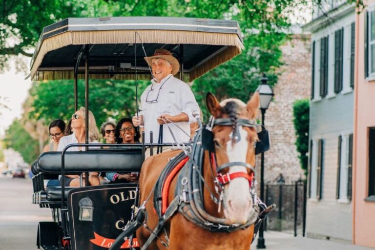 Charleston: Historical Downtown Tour by Horse-drawn Carriage - Who Will Love This Tour?