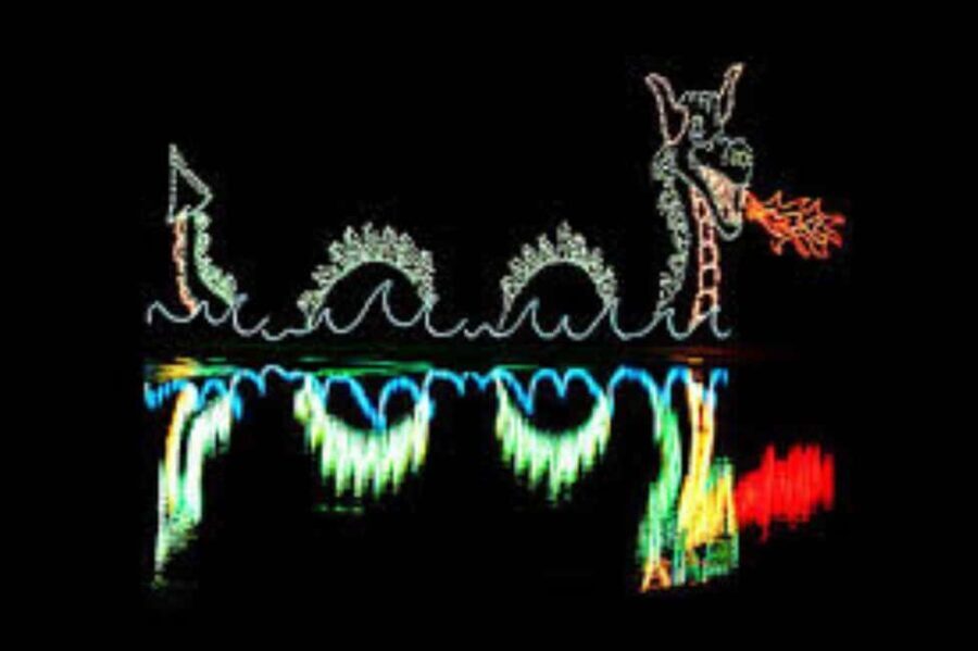 Charleston: Holiday Festival of Lights Tour with S'mores Kit - Why This Tour Works