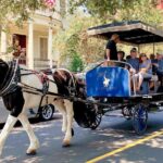 Charleston Horse & Carriage Historic Sightseeing Tour - In The Sum Up