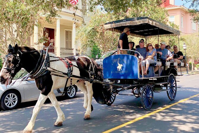 Charleston Horse & Carriage Historic Sightseeing Tour - In The Sum Up