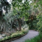 Charleston: Magnolia Plantation & Gardens Guided Tour - An In-Depth Look at Magnolia Plantation & Gardens Guided Tour