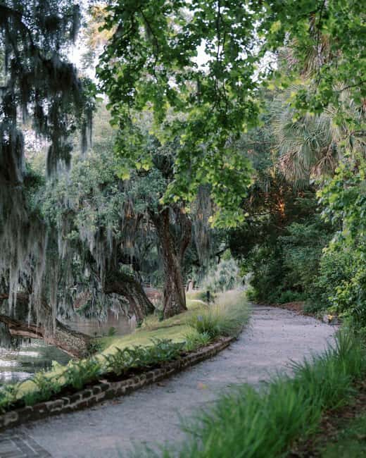 Charleston: Magnolia Plantation & Gardens Guided Tour - An In-Depth Look at Magnolia Plantation & Gardens Guided Tour