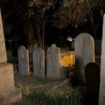 Charleston: Myths and Monsters (Paranormal History Tour) - Who Will Love This Tour?