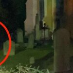 Charleston: Real Hauntings of Charleston Guided Tour - An In-Depth Look at the Charleston Haunted Tour