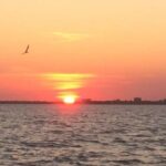 Charleston: Sunset Harbor Cruise - Why This Experience Offers Good Value