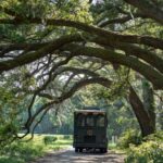 Charleston: Wadmalaw Island Wine Tasting and Tea Garden Trip - A Detailed Look at the Wadmalaw Island Tour Experience