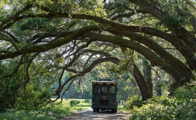 Charleston: Wadmalaw Island Wine Tasting and Tea Garden Trip - A Detailed Look at the Wadmalaw Island Tour Experience
