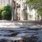 Charlestons Best Highlights: History, Culture & Architecture - Who Should Consider This Tour?