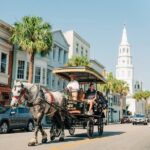 Charlestons Old South Carriage Historic Horse & Carriage Tour - Who Will Love This Tour?
