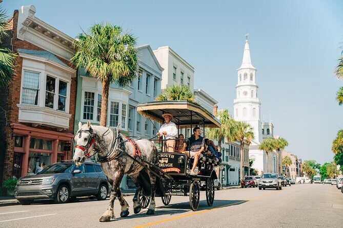 Charlestons Old South Carriage Historic Horse & Carriage Tour - Who Will Love This Tour?