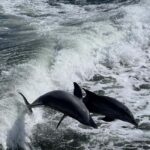 Charlotte Harbor: "The Oasis" Tiki Boat Sunset Cruise - The Cruise Itself: Scenic, Fun, and Interactive