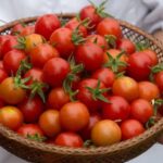 Charlotte: Pasta Making Cooking Class at a Local Brewery - The Itinerary In-Depth