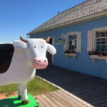 Charlottetown: Historical Architecture Guided Walking Tour - Why This Tour Offers Great Value