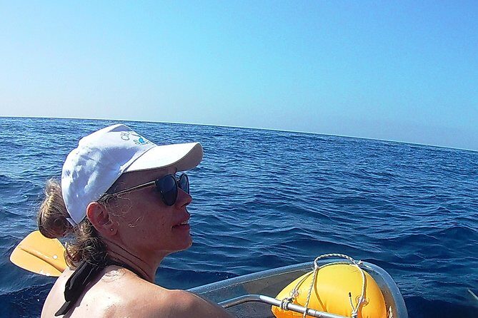 Chasing Syrens Transparent Kayak Winter Tours - Who Will Enjoy This Tour?
