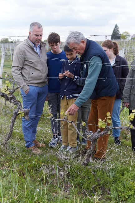 Château Arton Guided Tour and Armagnac Tasting - The Itinerary Breakdown