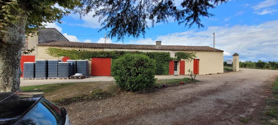 Château Cantelaube: tour and tasting at an unusual wine estate - In-Depth Review of the Château Cantelaube Experience