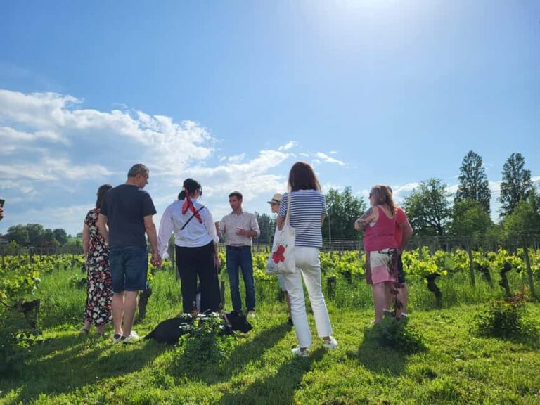 Château Champion: Tour and tasting with tapas - A Deep Dive into the Château Champion Experience