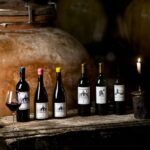 Château de Luc: Unique visit and wine tasting - The itinerary — what to expect during your visit