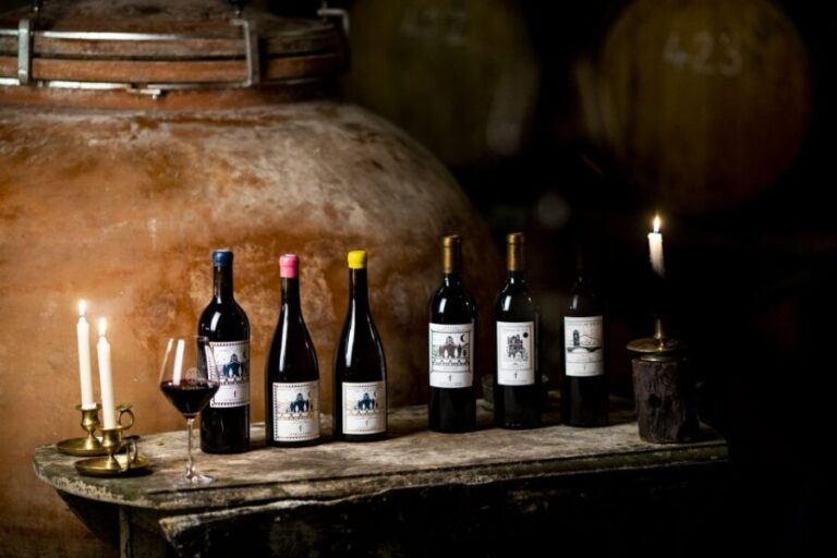 Château de Luc: Unique visit and wine tasting - The itinerary — what to expect during your visit