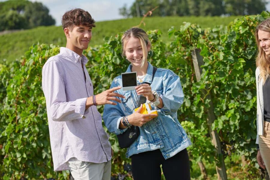 Château Fleur Cardinale: Panoramic Tour Walk through the vineyards - The Sum Up