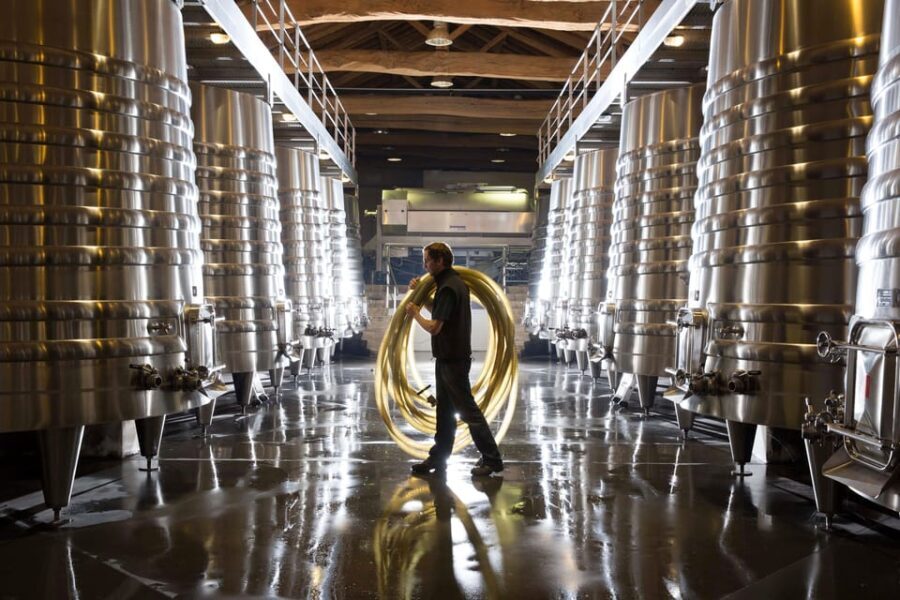 Château Olivier: One Hour Vineyard Tour with Wine Tasting - Who Will Love This Tour?
