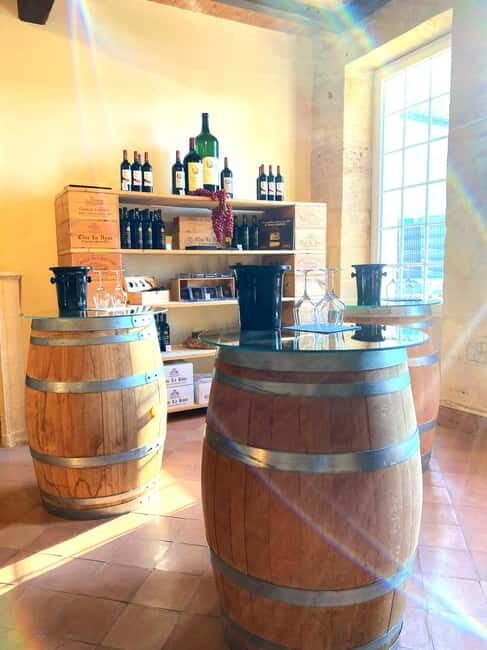 Château St-Emilion Grand Cru visit and Grand Cru and Pomerol tasting - The Practical Side: What to Expect