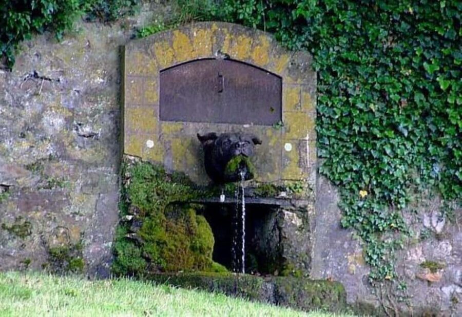 Château-Thierry: Belleau Wood & the 2nd Battle of the Marne - The Experience: What Travelers Can Expect