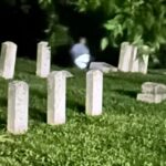 Chattanooga: 18+ Only Cemetery Ghost Hunt With EMF Detector - The Practicalities: What to Know Before You Go