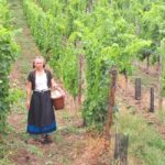 Check out the Heart of Alsace in Riquewihr - Authenticity and Entertainment Combined