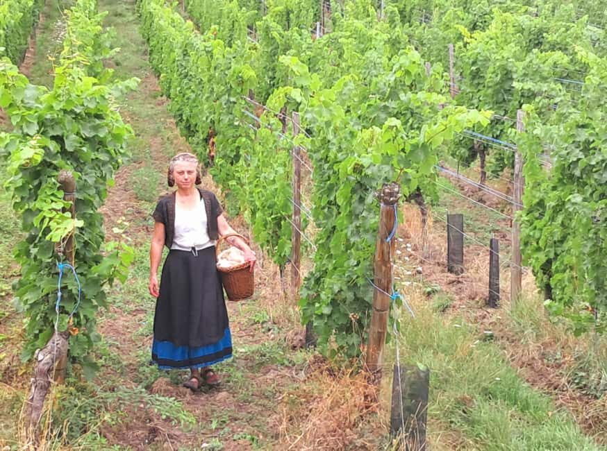 Check out the Heart of Alsace in Riquewihr - Authenticity and Entertainment Combined
