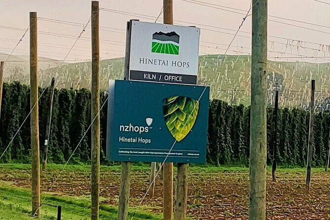 Cheers to Craft Beer - Authentic Experiences and Practical Details