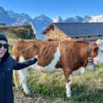 Cheese and chocolate on mountain summit - Authenticity, Value, and Practical Tips